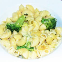 Maccaroni & broccoli in a cream sauce