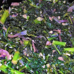 Sauteed Kale Spinach & Mushroom